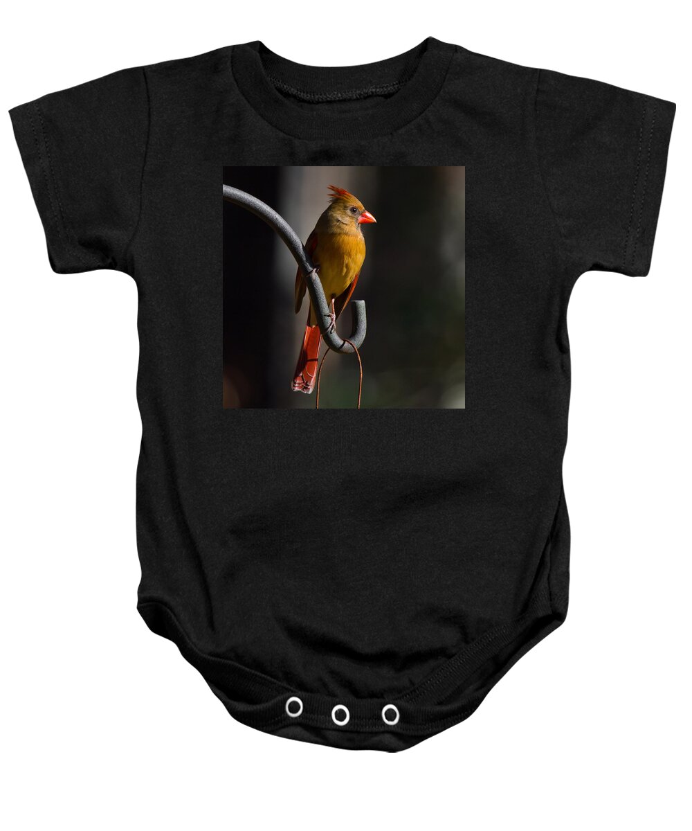 Female Cardinal Baby Onesie featuring the photograph Looking For My Man Bird by Robert L Jackson
