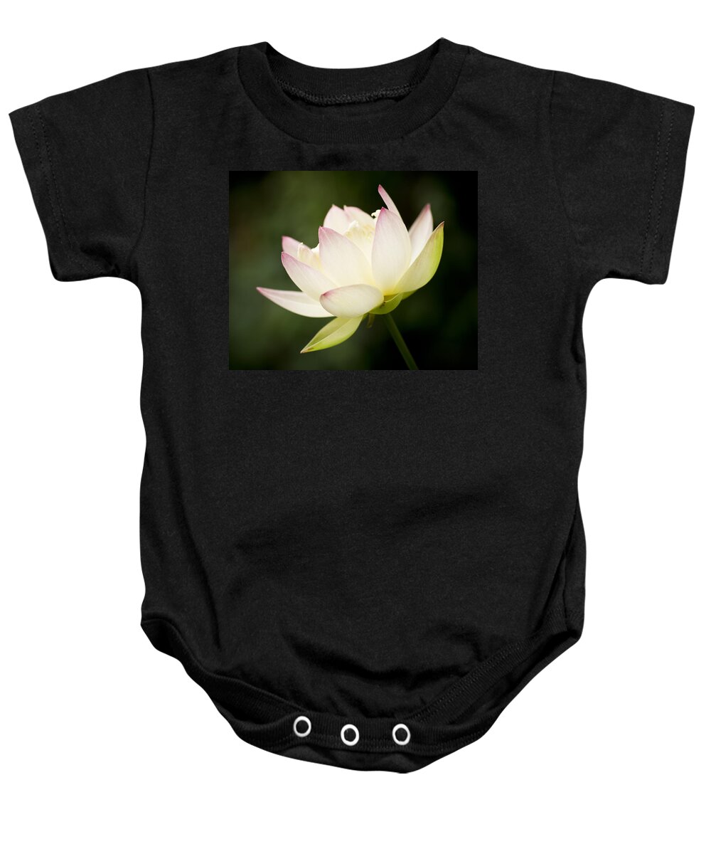 Lotus Baby Onesie featuring the photograph Lotus Glow by Priya Ghose