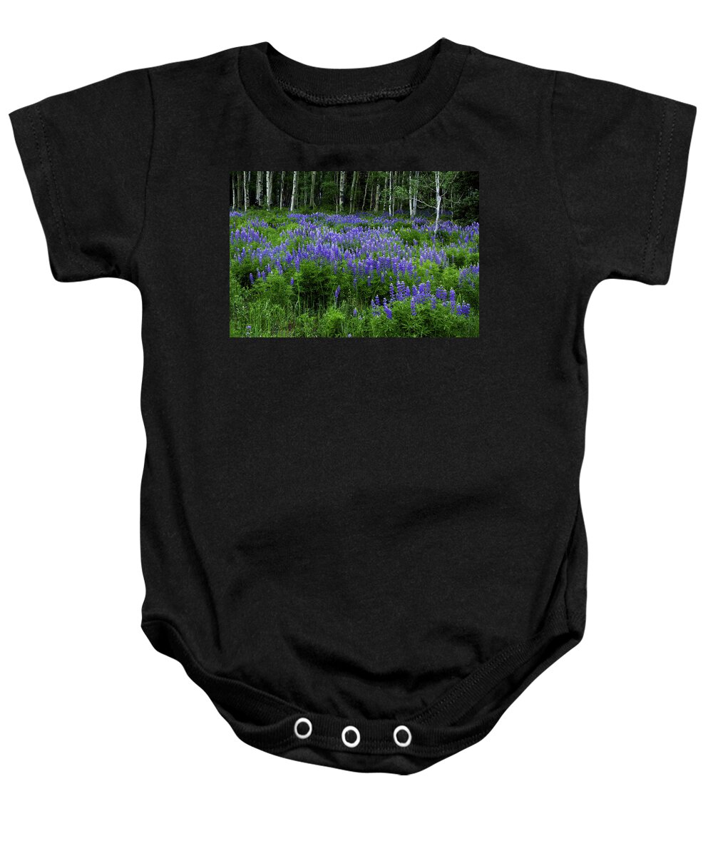 Crested Butte* Flowers Baby Onesie featuring the photograph Lupine in the Aspen by Kristal Kraft