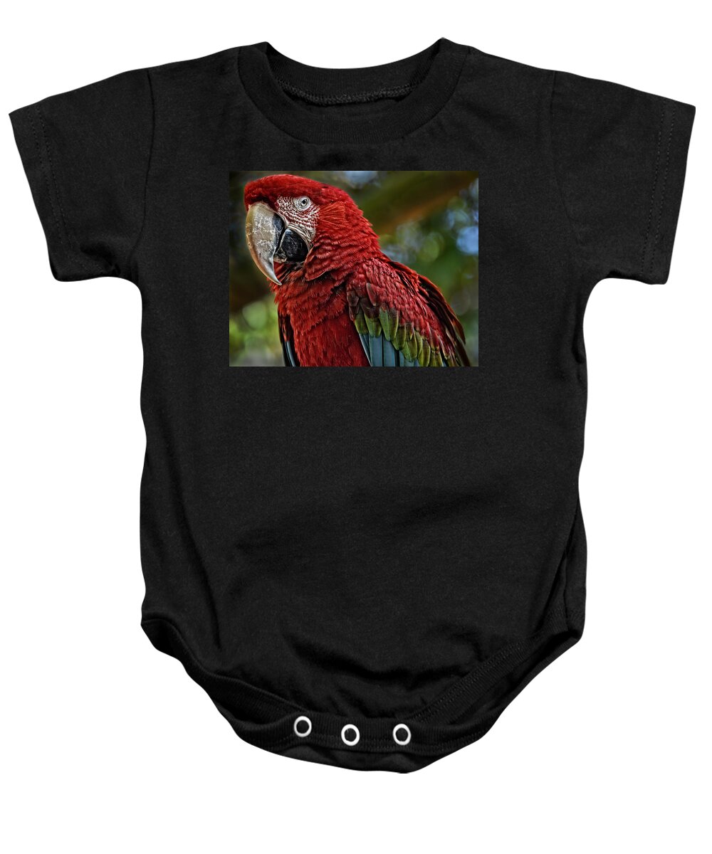 Macaw Baby Onesie featuring the photograph Macaw Portrait by Maggy Marsh