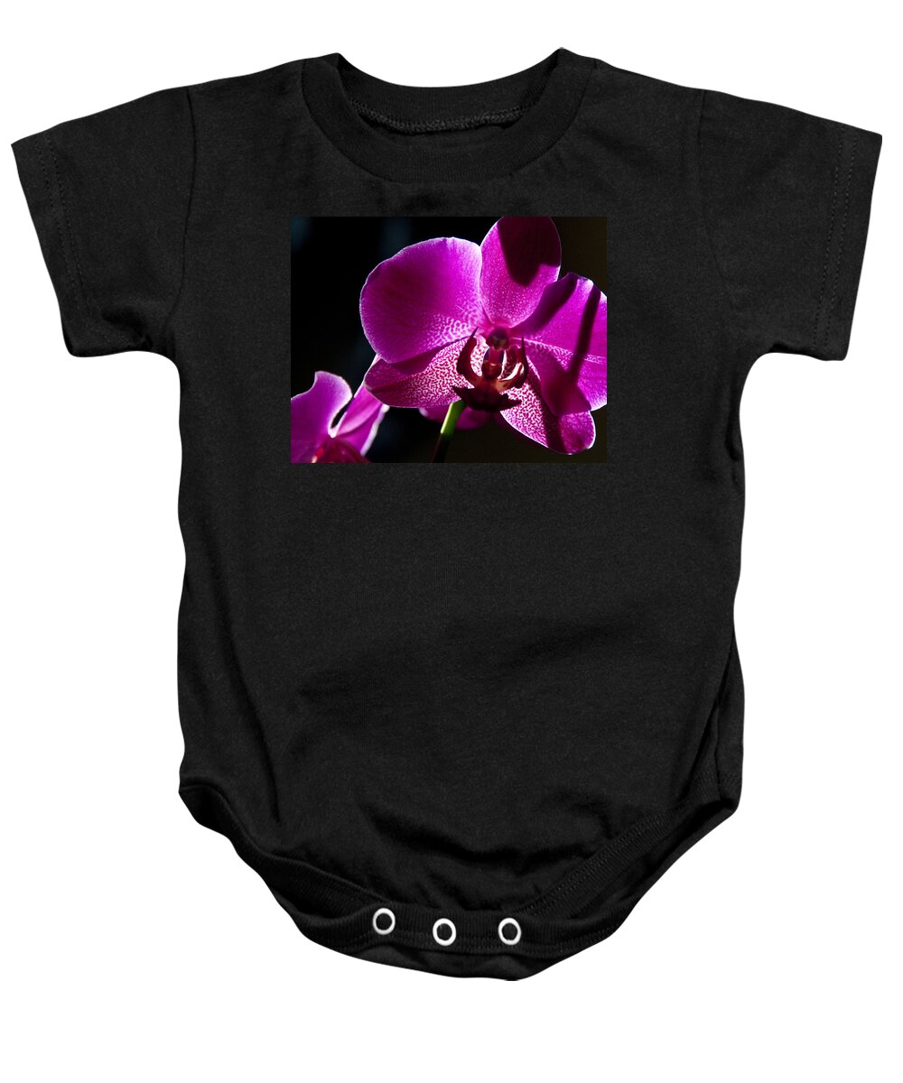 Moth Orchid Baby Onesie featuring the photograph Magenta Orchid by Ron White