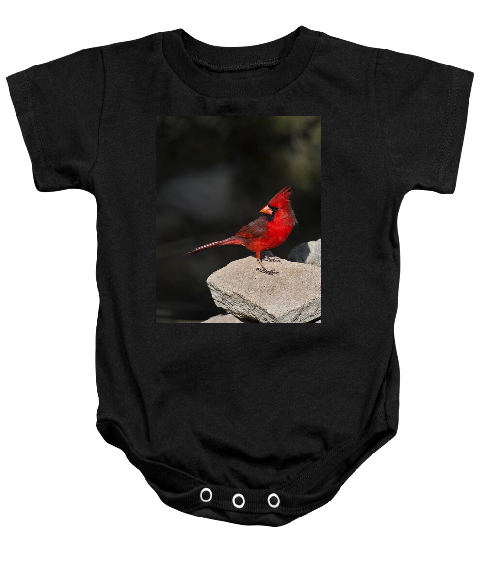 Cardinal Baby Onesie featuring the photograph Male Cardinal by Gary Langley