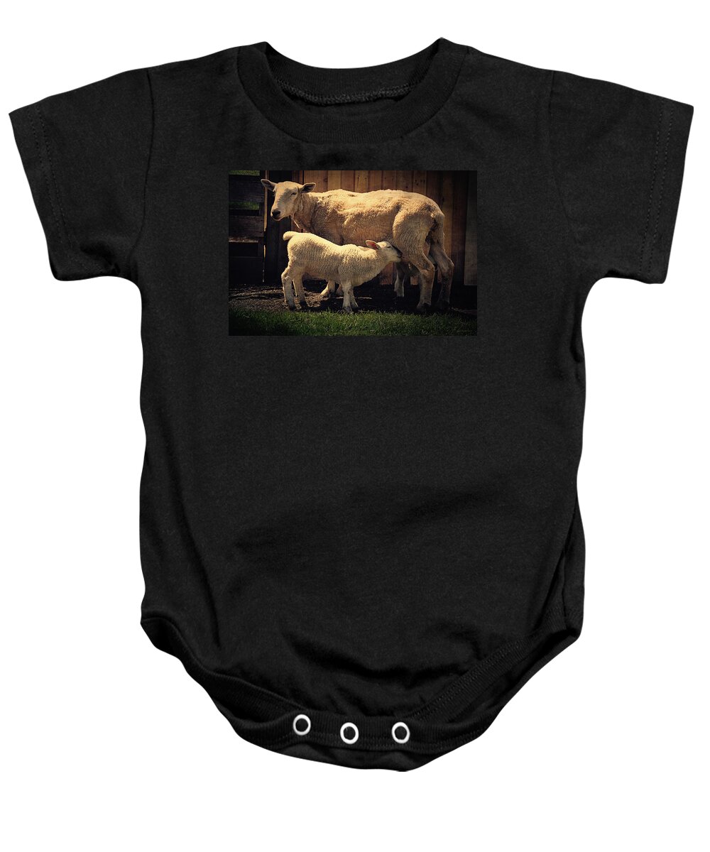 White Baby Onesie featuring the photograph Mama Sheep And Baby Lamb by Maria Angelica Maira