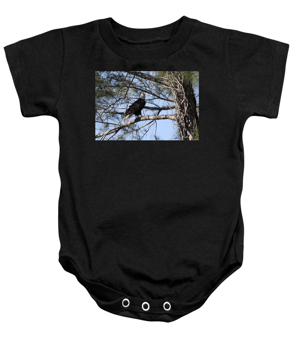 Florida Baby Onesie featuring the photograph Marco Island Eagles - Protecting the Sanctuary by Ronald Reid
