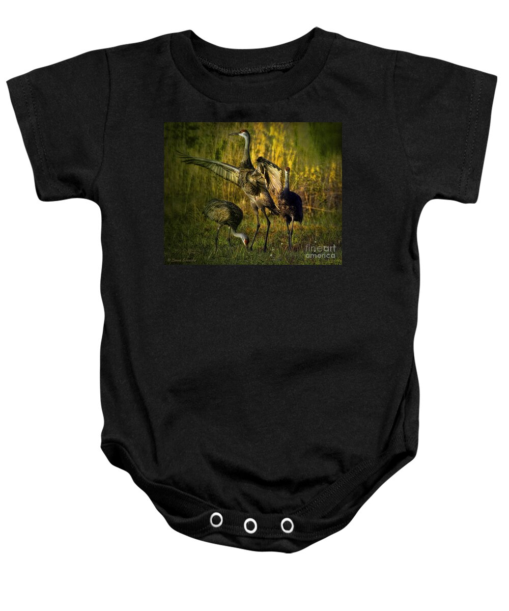 Birds Baby Onesie featuring the digital art May I Have This Dance by Lianne Schneider