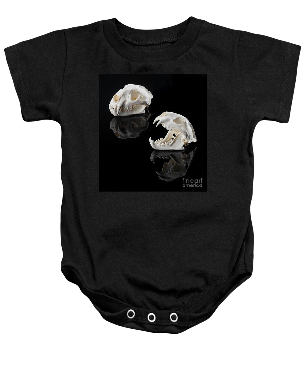 Mountain Lion Baby Onesie featuring the photograph Mountain Lion Skulls by Jerry McElroy