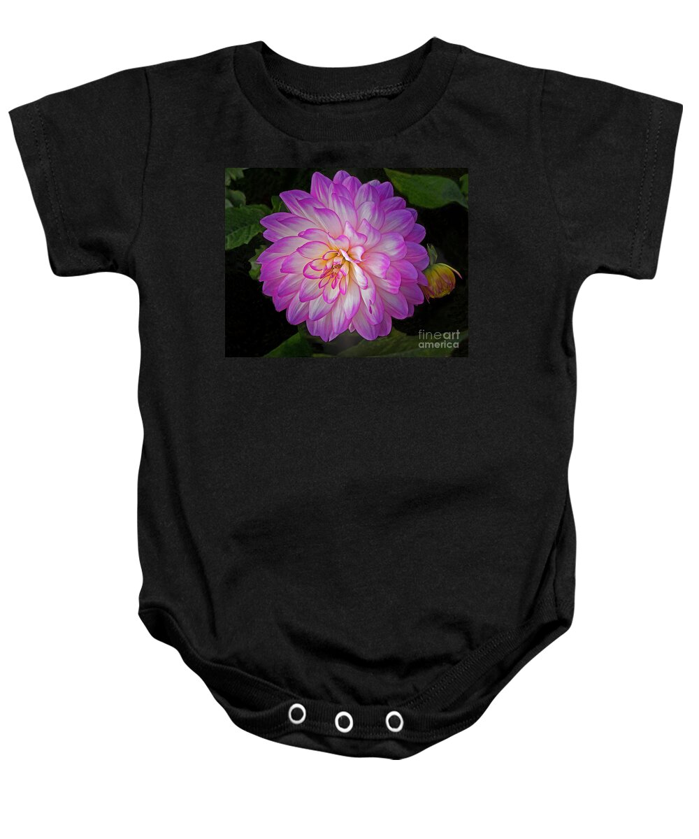 Flower Baby Onesie featuring the photograph Neon Dahlia Duo by Ann Horn