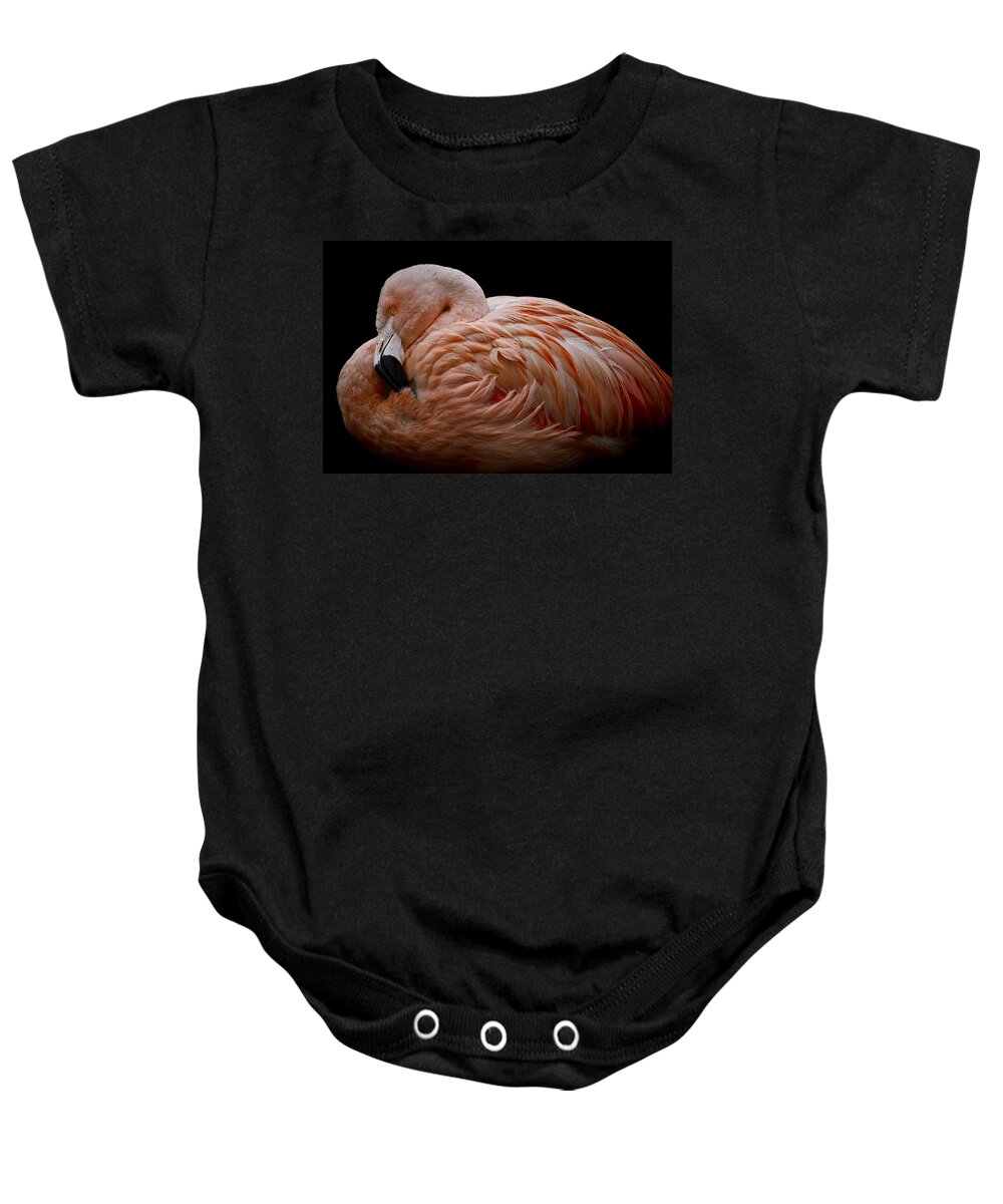 Nesting Flamingo Baby Onesie featuring the photograph Nesting Flamingo by Wes and Dotty Weber