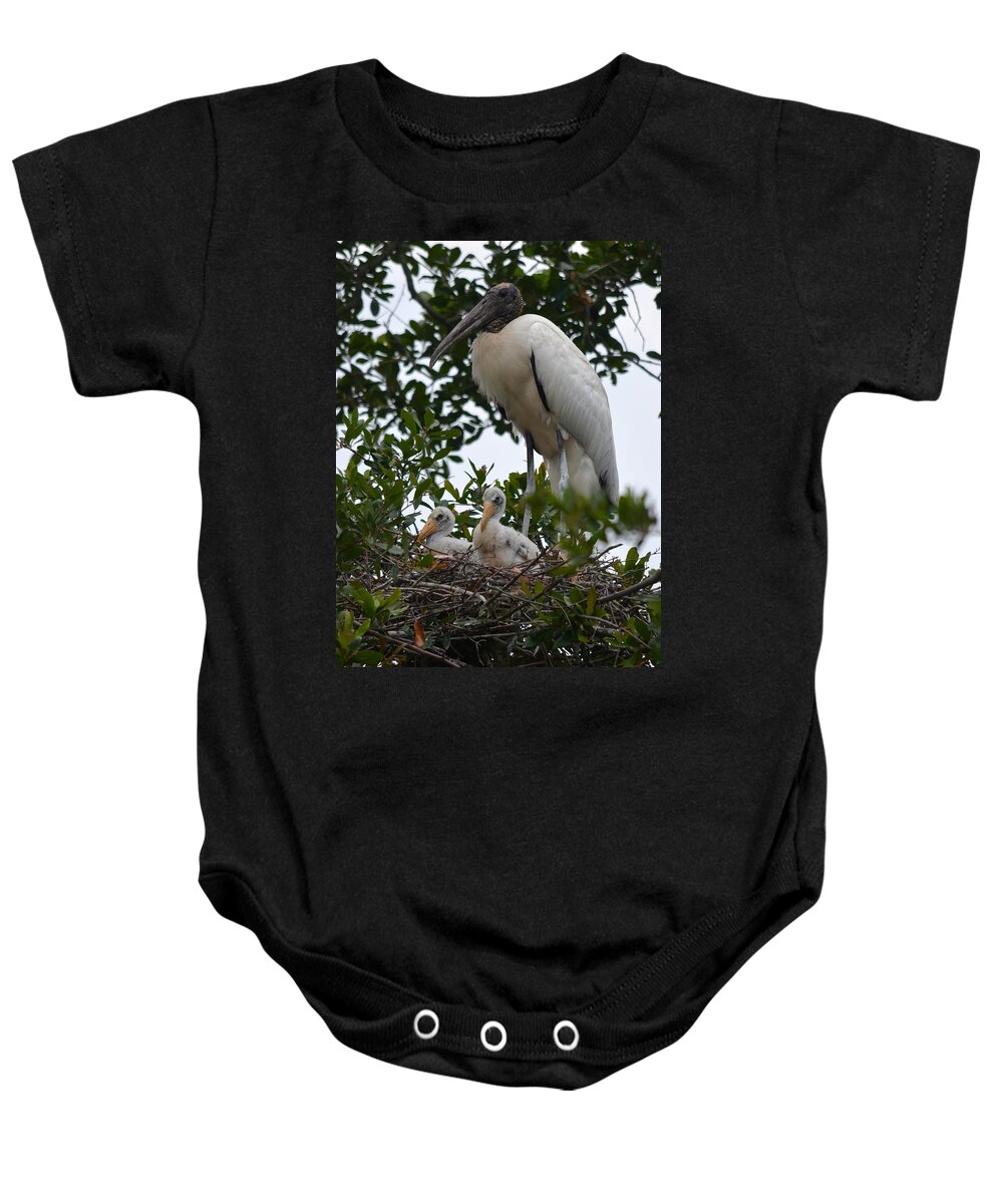 Family Baby Onesie featuring the photograph Nesting Wood Stork Family by Richard Bryce and Family