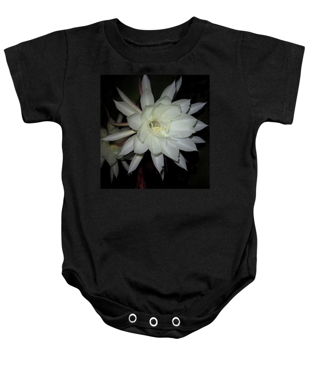  Baby Onesie featuring the photograph Night-Blooming Cereus by Steve Fields
