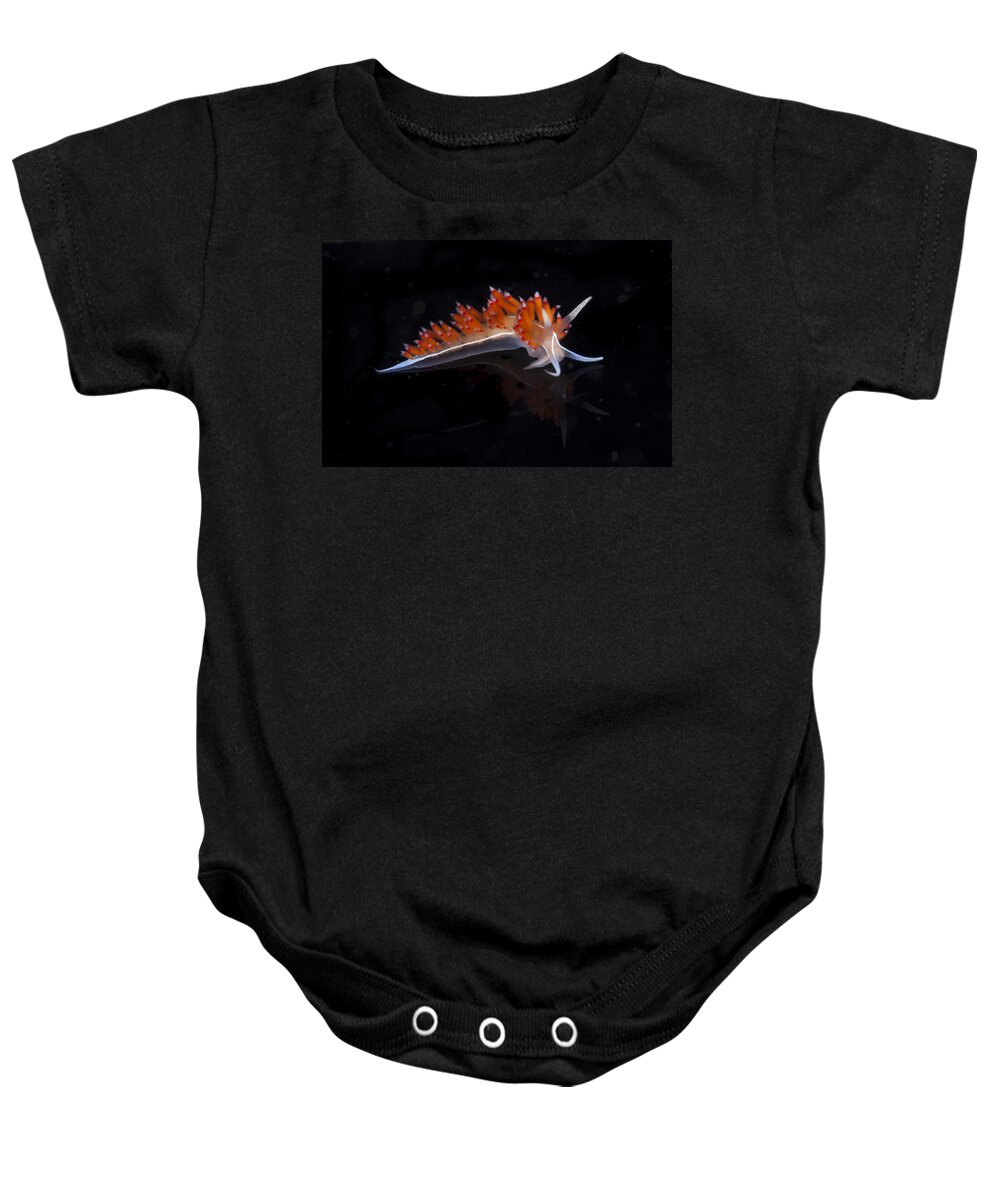 Blue Baby Onesie featuring the photograph Nudibranch by Sandra Edwards