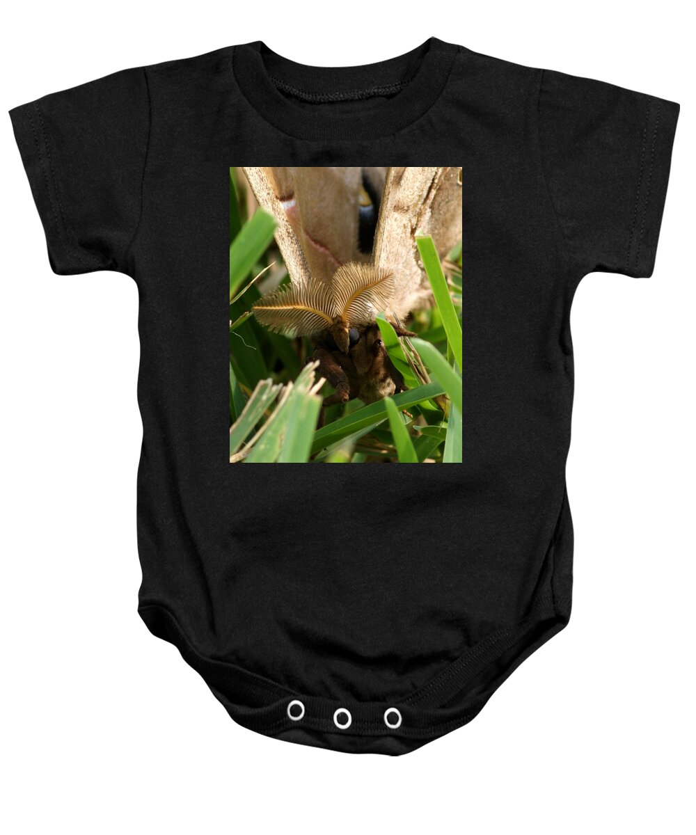 Grass Baby Onesie featuring the photograph On the move by Chauncy Holmes