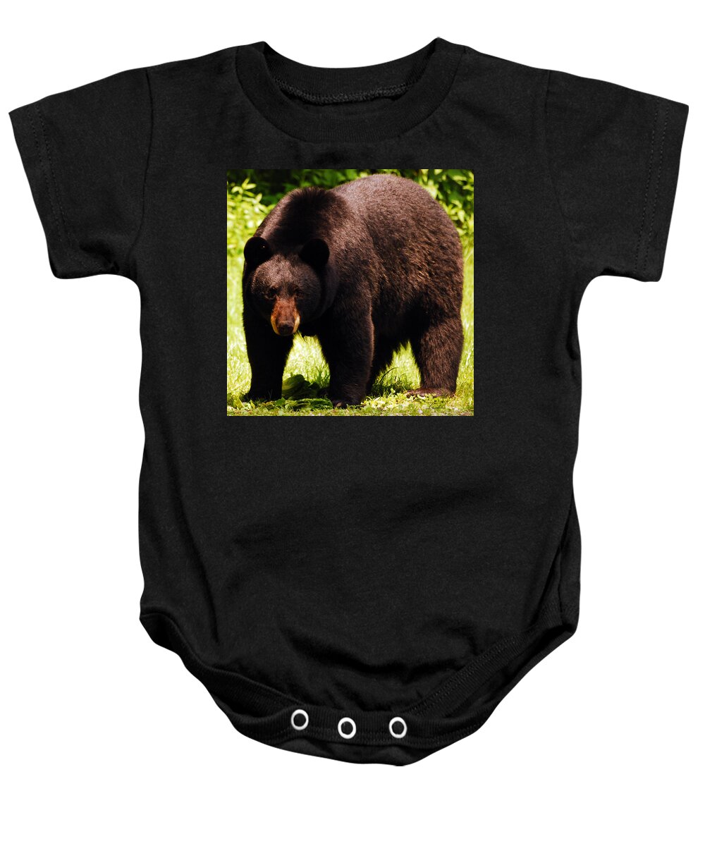 Bear Baby Onesie featuring the photograph One Big Bad Momma by Lori Tambakis