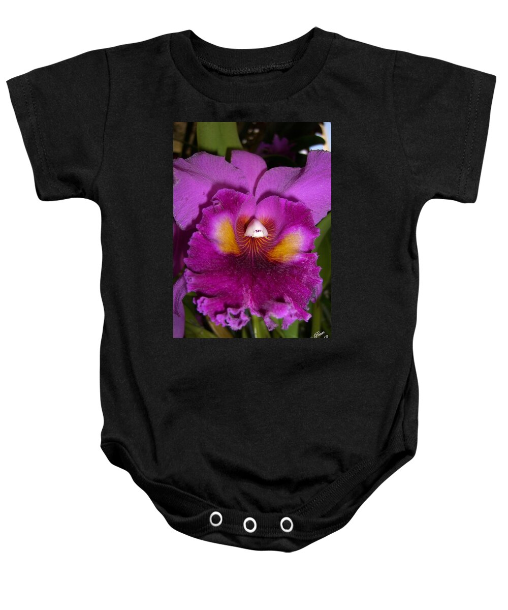 Orchid Baby Onesie featuring the photograph Orchid Flames by Michele Penn