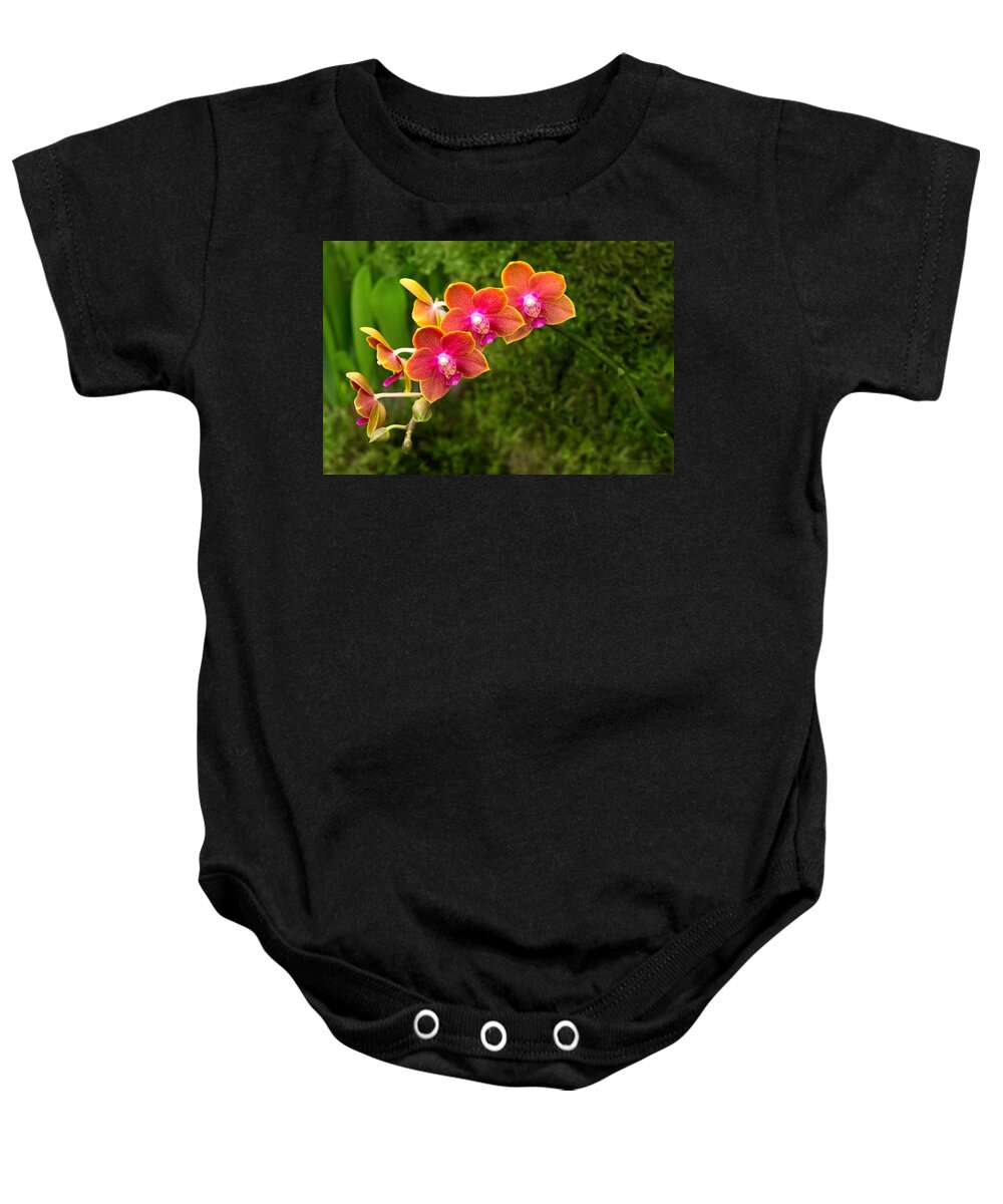 Phalaenopsis Baby Onesie featuring the photograph Orchid - Phalaenopsis - Tying Shin Cupid by Mike Savad