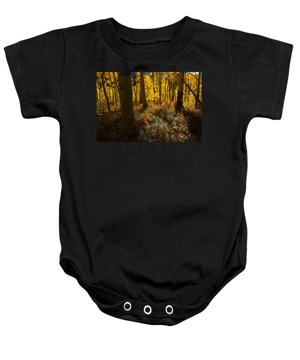 Colorado Baby Onesie featuring the photograph Painted Forest by Jeremy Rhoades
