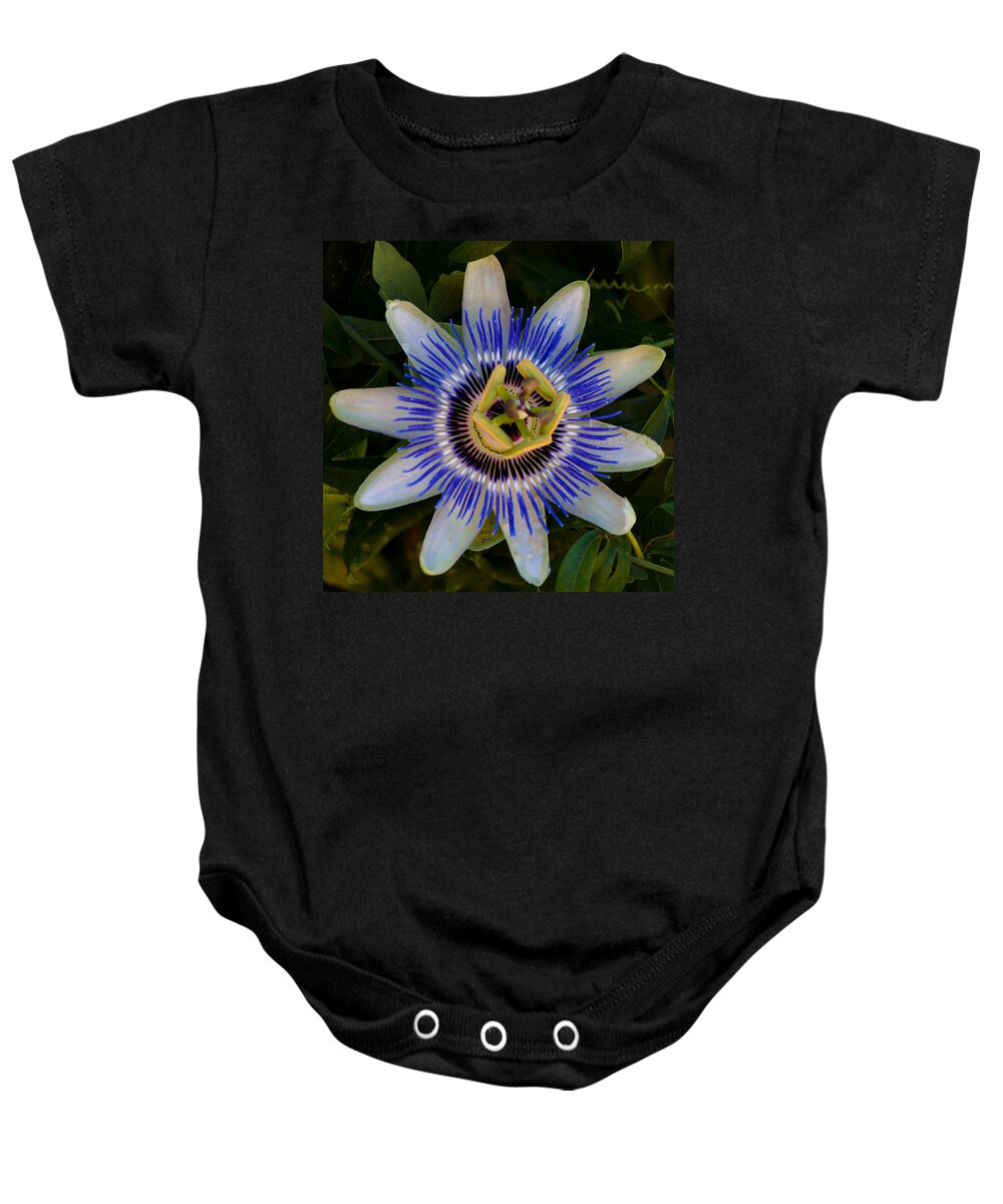 Flower Baby Onesie featuring the photograph Passion Flower Aglow by Lynne Jenkins