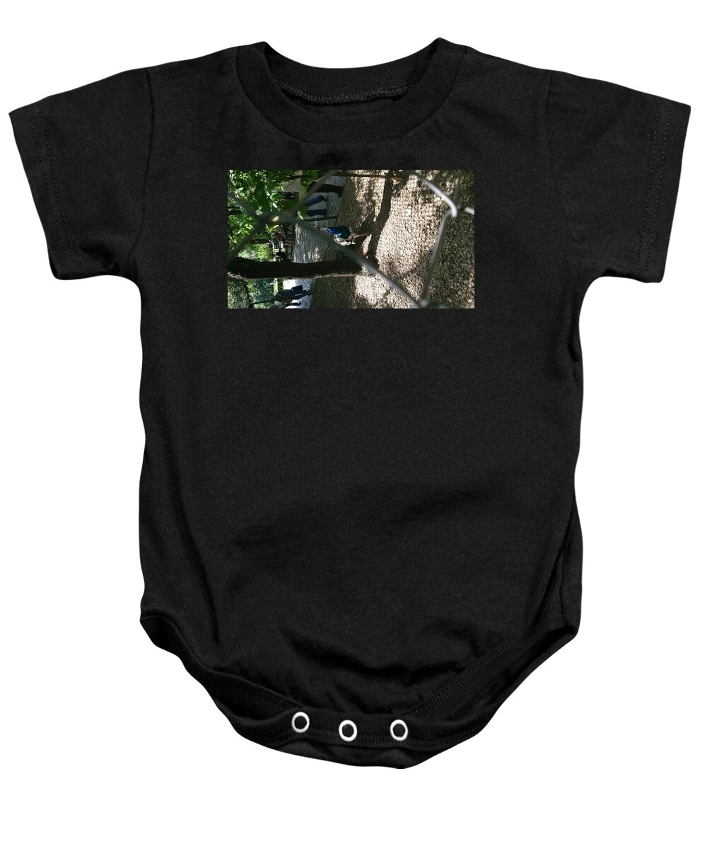 Animals Baby Onesie featuring the photograph Peacock by Moshe Harboun