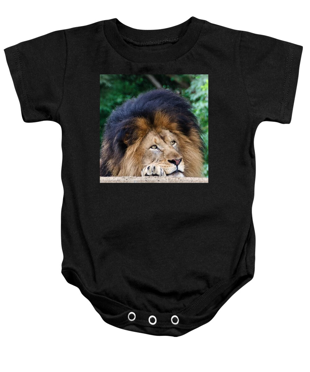 National Zoo Baby Onesie featuring the photograph Pensive Lion by Georgette Grossman
