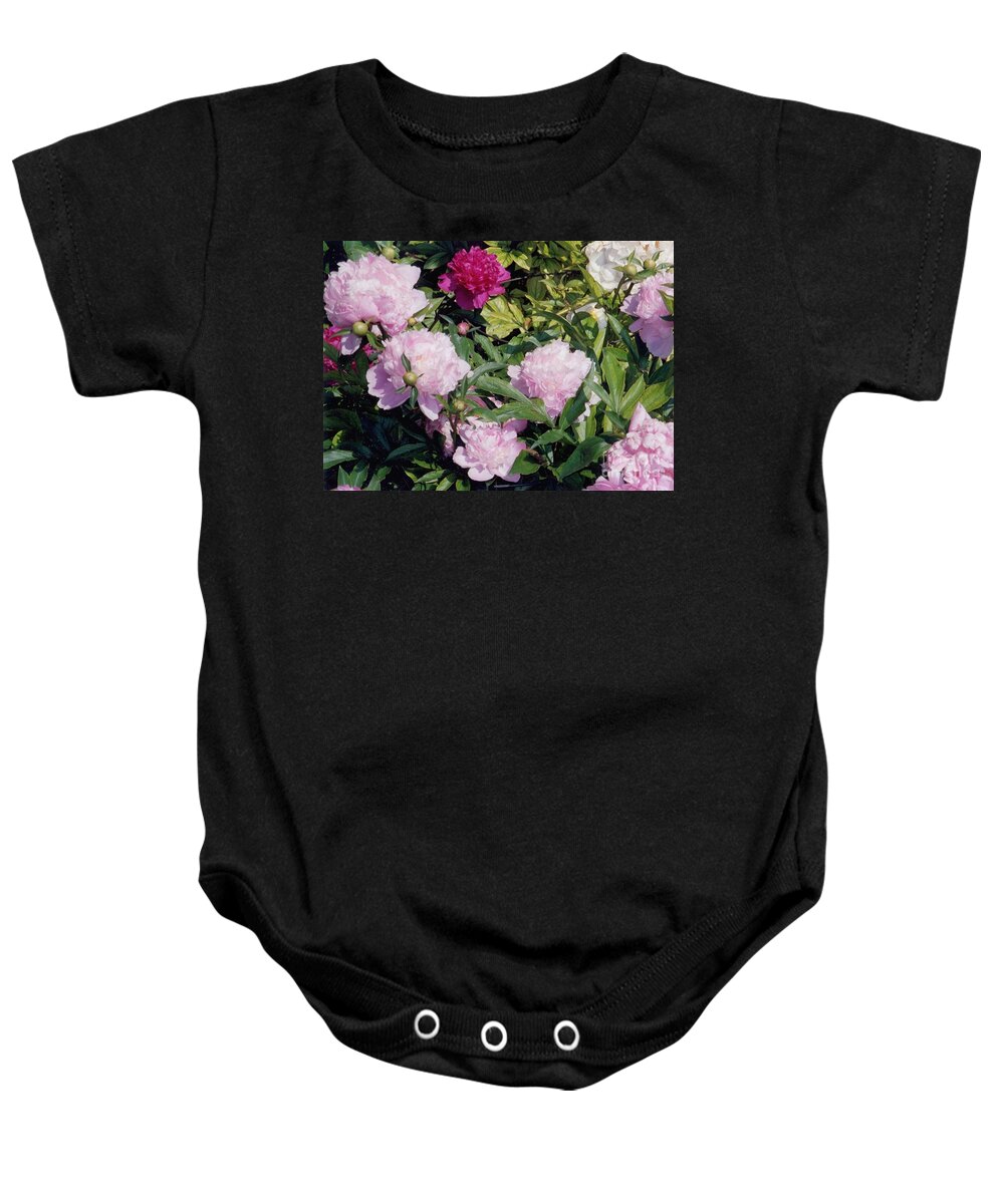 Peony Baby Onesie featuring the photograph Peonies in Pinks by Laurie Eve Loftin