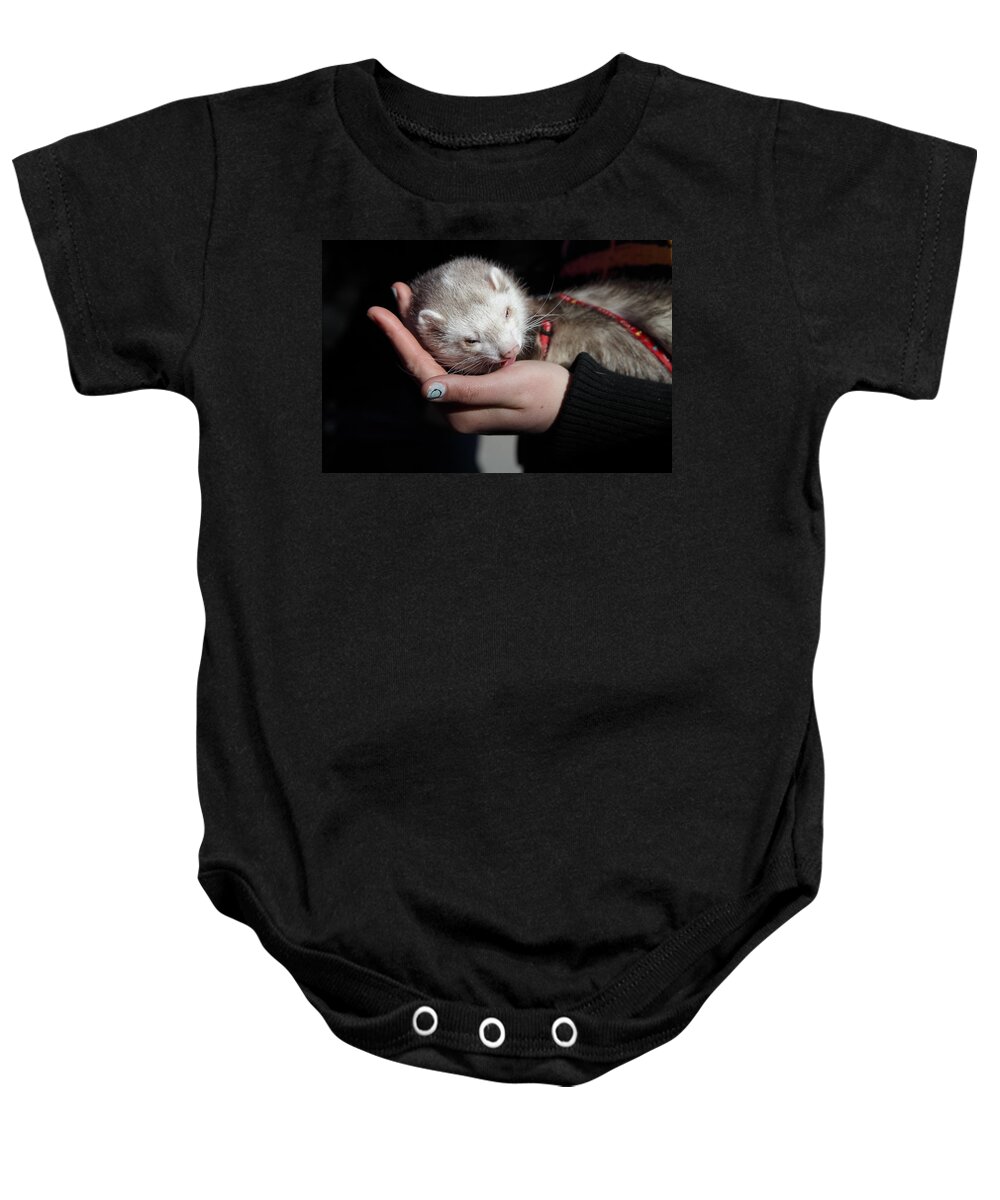 20s-30s Baby Onesie featuring the photograph Pet ferret licking a hand by Ulrich Kunst And Bettina Scheidulin