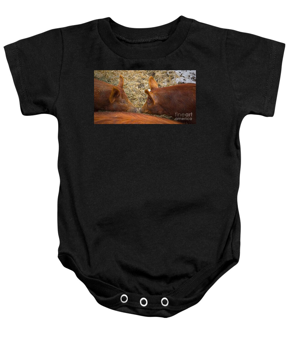 Pig Baby Onesie featuring the photograph Pig kiss by Les Palenik