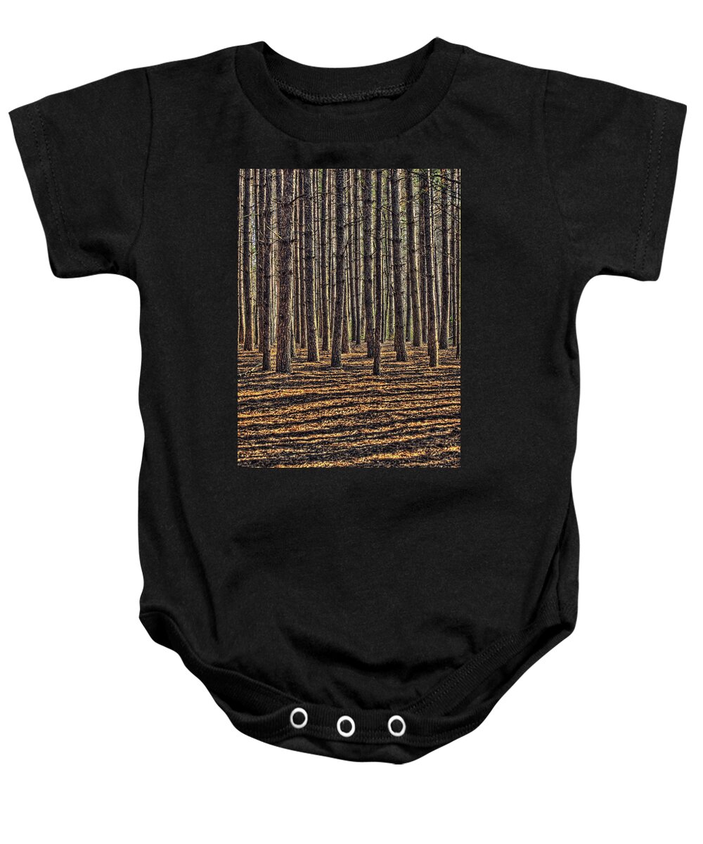 Landscape Baby Onesie featuring the photograph Pines and Shadows by Claudio Bacinello