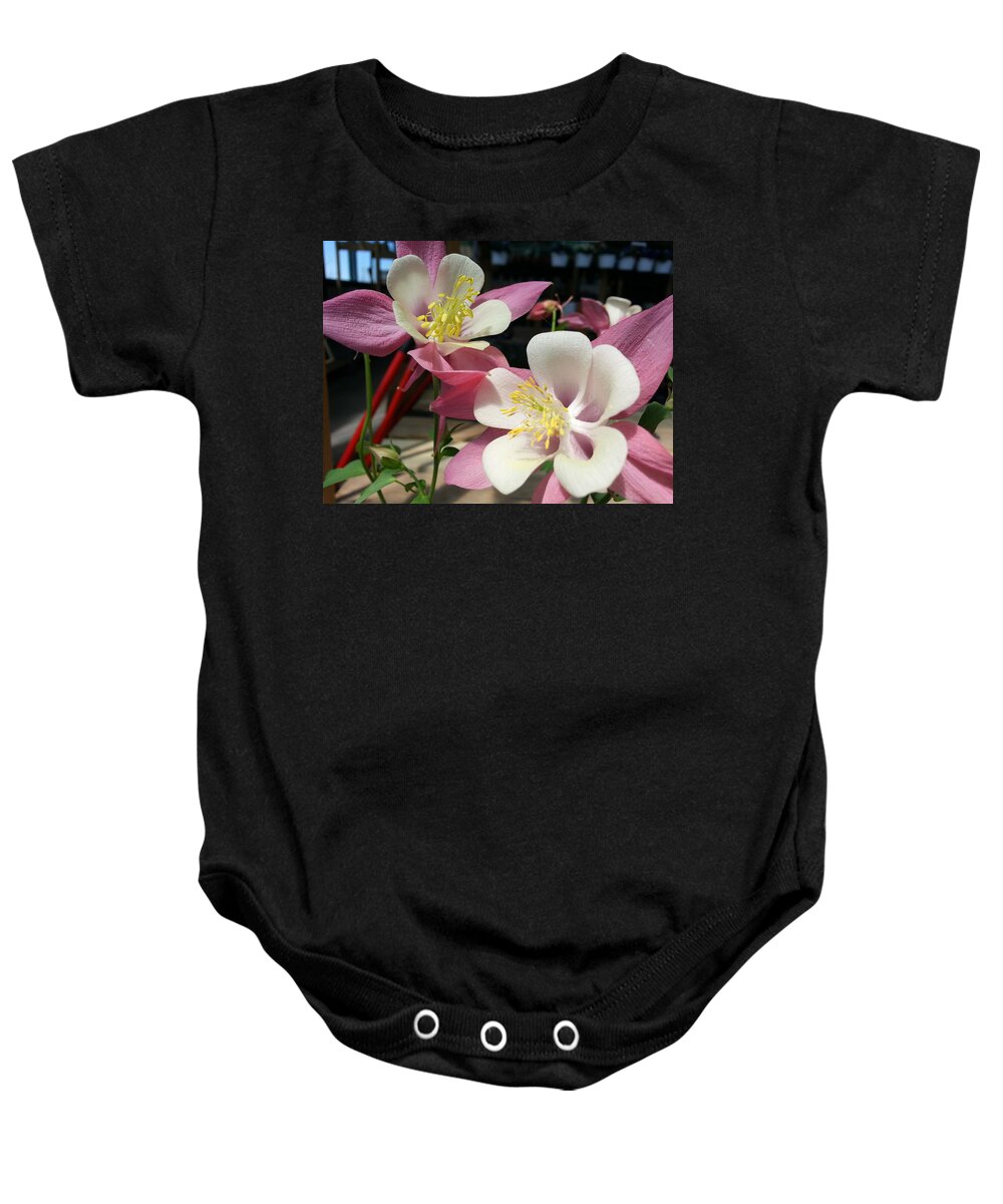 Pink Baby Onesie featuring the photograph Pink Columbine by Caryl J Bohn