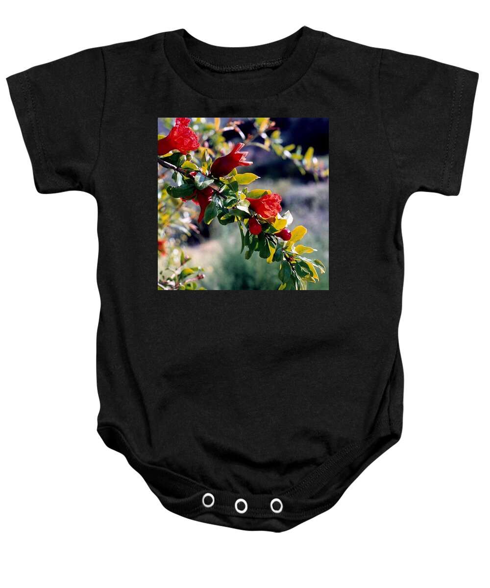 Pomegranate Baby Onesie featuring the photograph Pomegranate Forming by Kathy Bassett