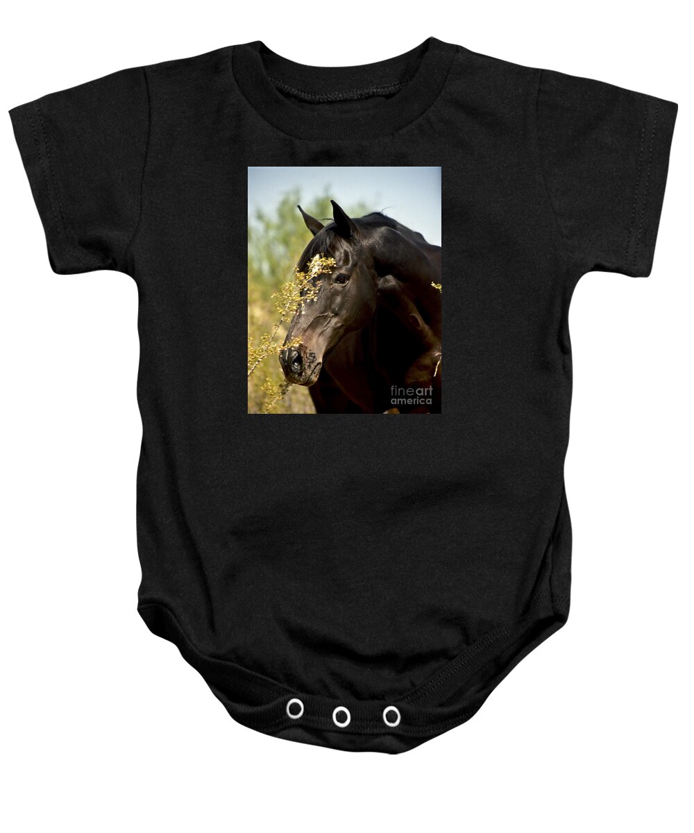 Horse Baby Onesie featuring the photograph Portrait of a Thoroughbred by Kathy McClure