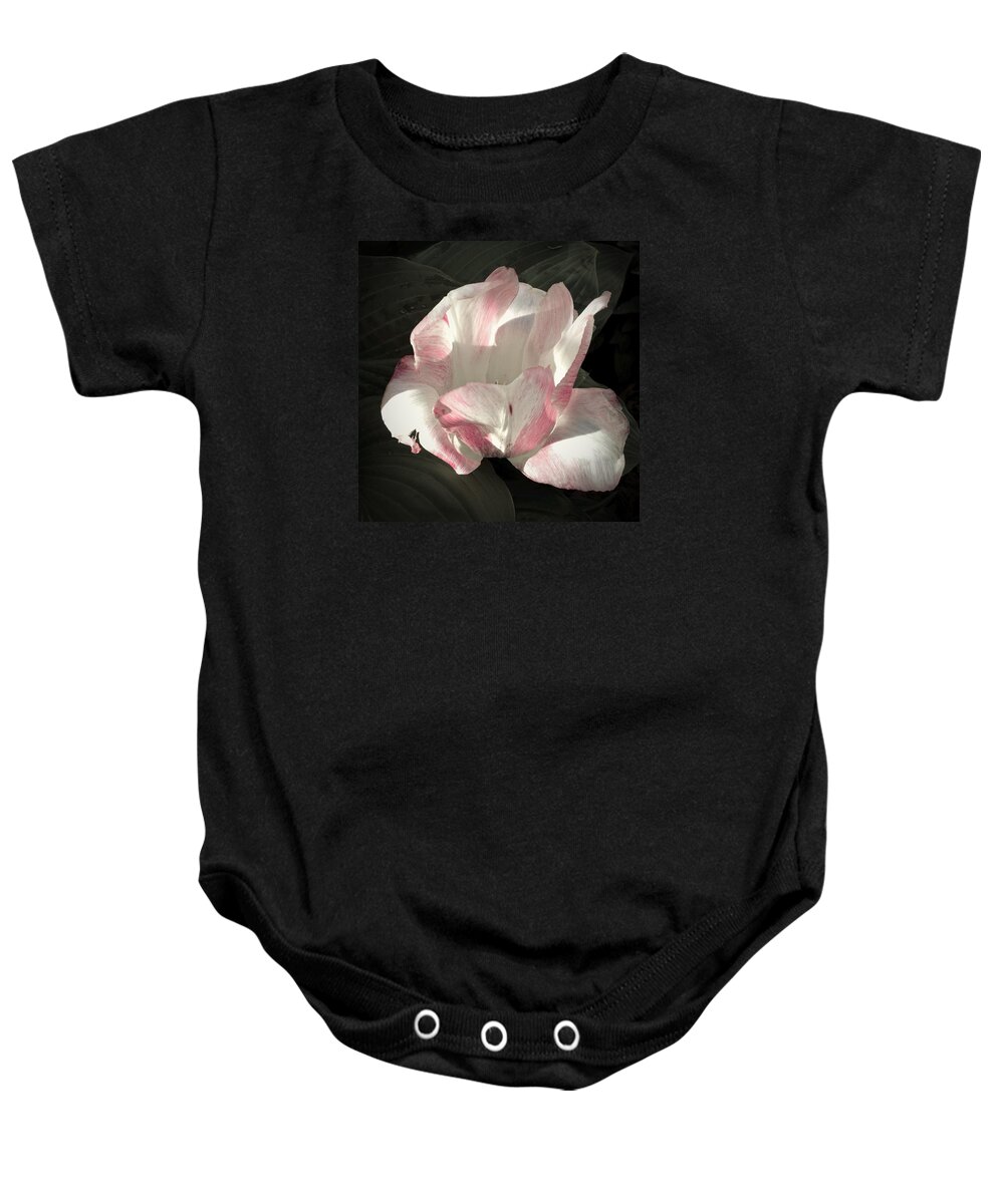 Tulip Baby Onesie featuring the photograph Pretty in Pink by Photographic Arts And Design Studio