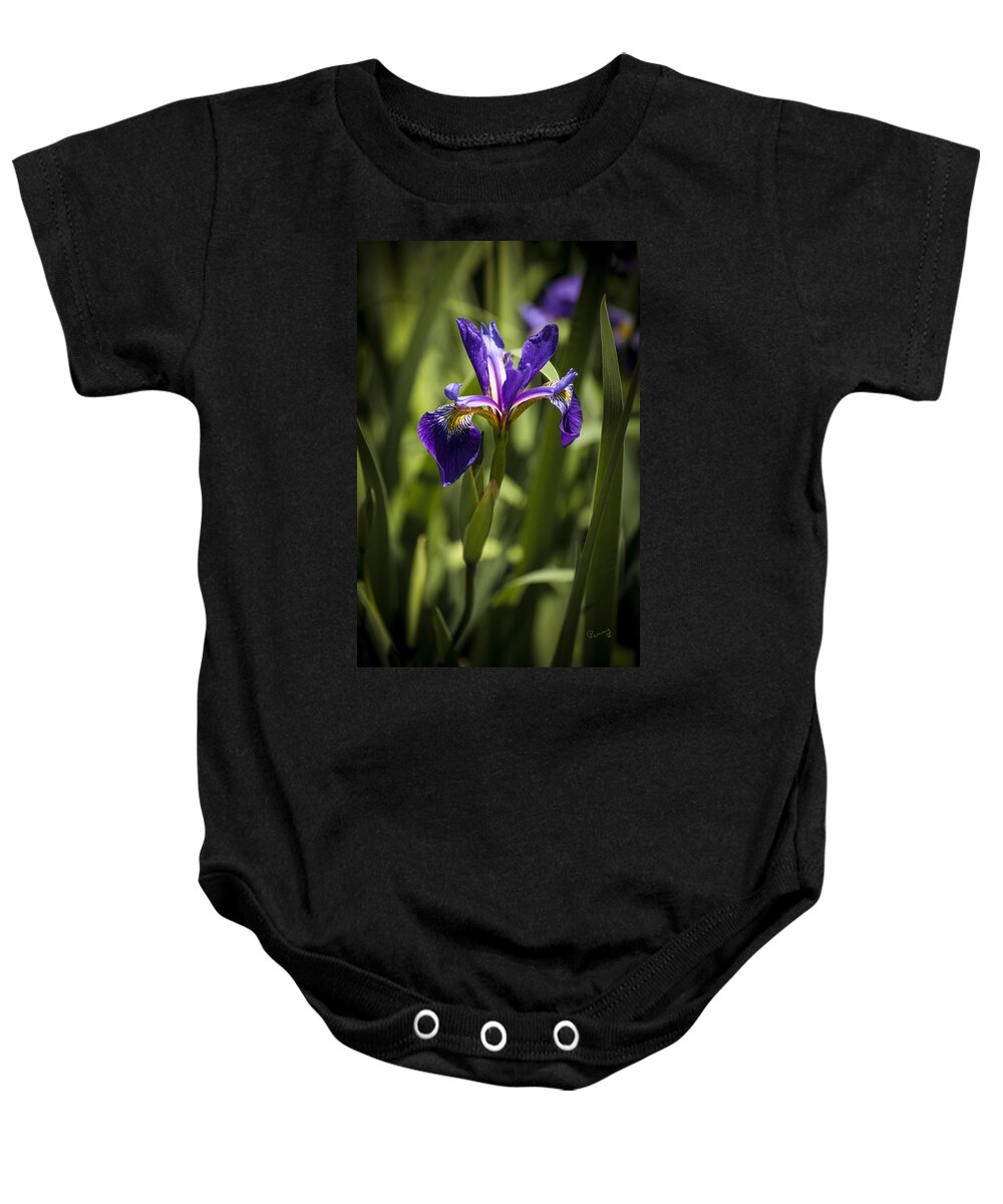 Background Baby Onesie featuring the photograph Purple Iris by Penny Lisowski