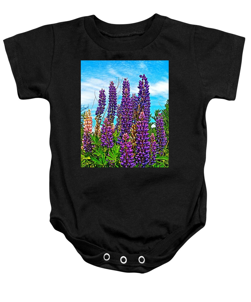 Purple Lupine Along Confederation Trail Baby Onesie featuring the photograph Purple Lupine along Confederation Trail-Prince Edward Island, Canada by Ruth Hager