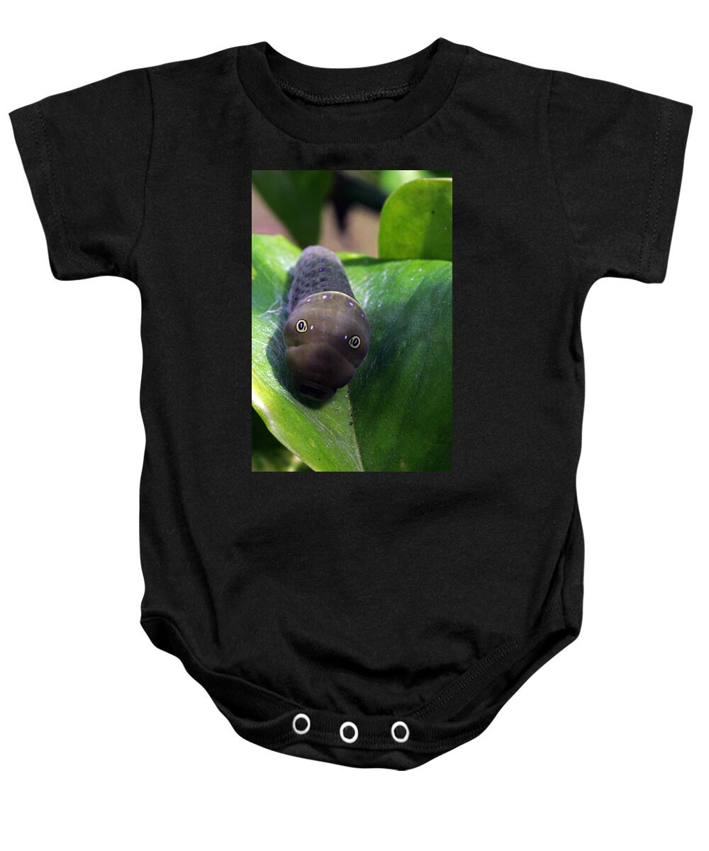Insects Baby Onesie featuring the photograph Purple Polkadots by Jennifer Robin