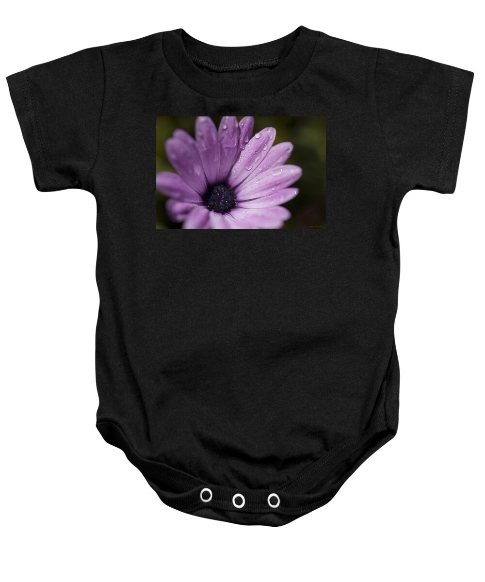 Flowers Baby Onesie featuring the photograph Purple Rain by Miguel Winterpacht