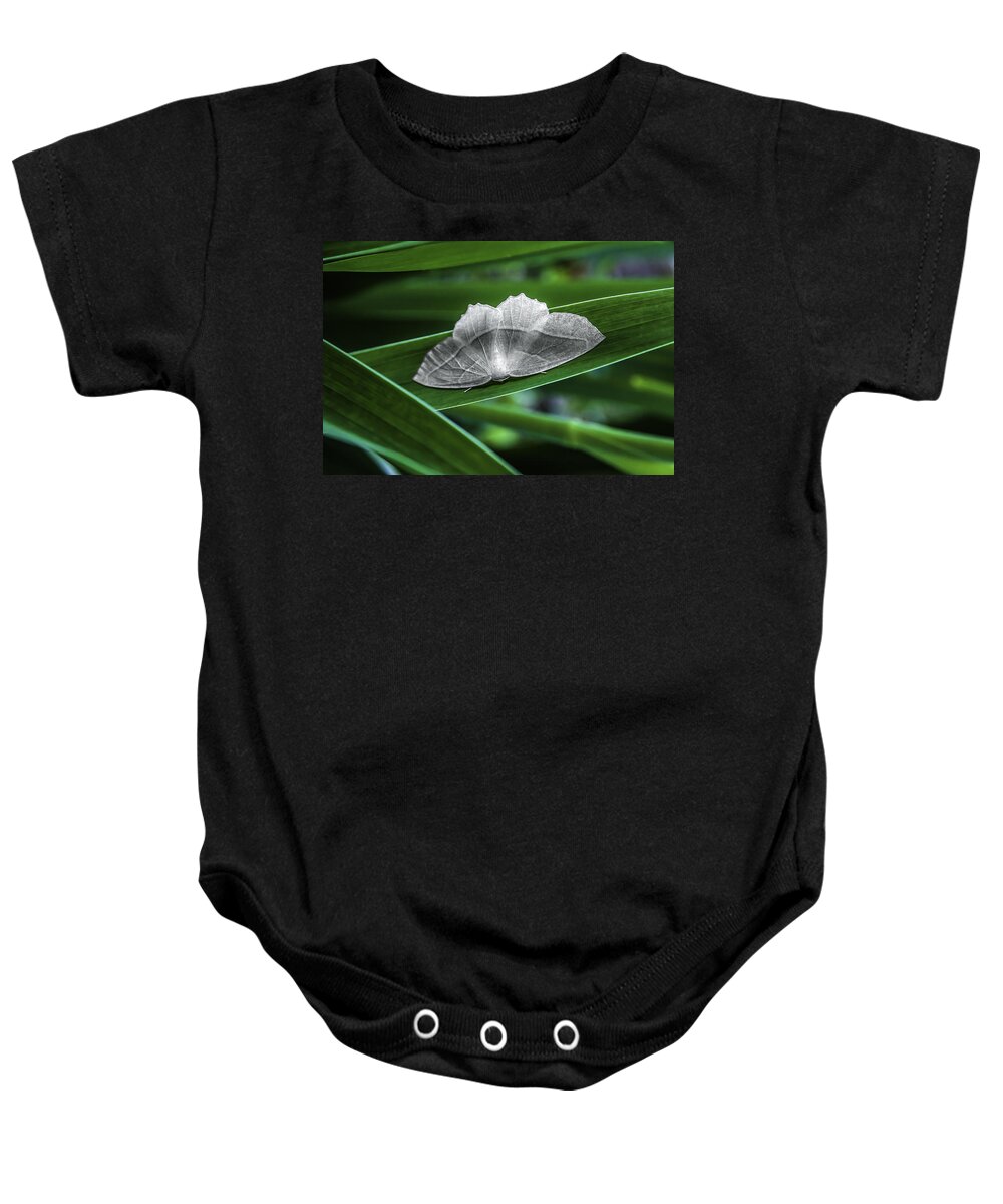 Moth Baby Onesie featuring the photograph Quiet Calm by Rick Bartrand