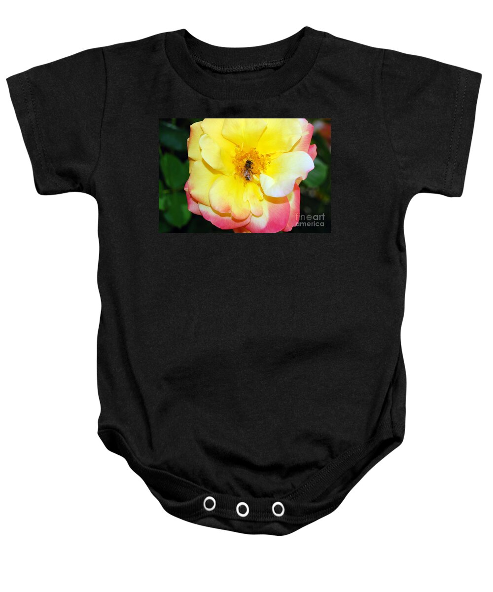 Bee Baby Onesie featuring the photograph Rainbow Wings by Debra Thompson