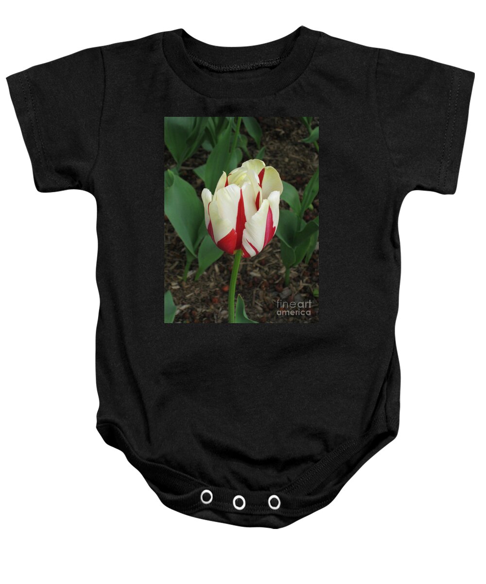 Tulip Baby Onesie featuring the photograph Red and White Tulip by Anne Nordhaus-Bike