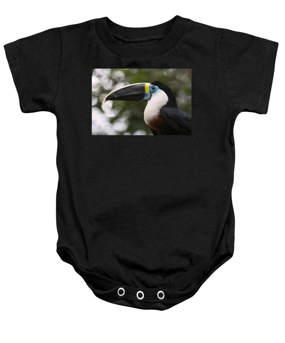 533828 Baby Onesie featuring the photograph Red-billed Toucan Amazonian Ecuador by Murray Cooper