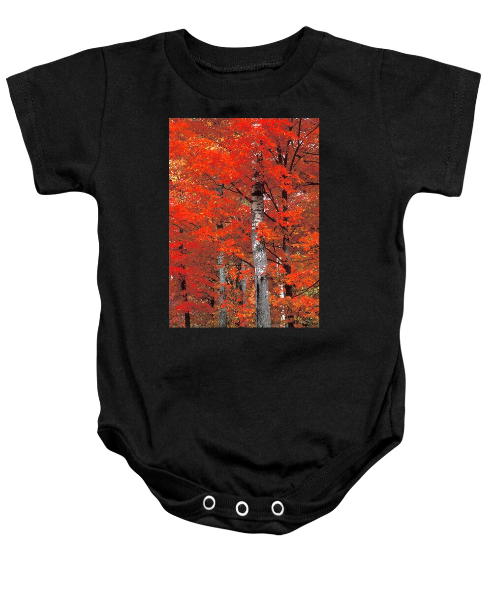 Autumn Baby Onesie featuring the photograph Red Embrace by Laura Tucker