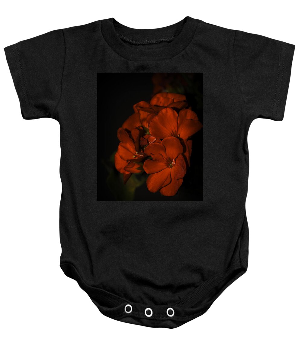 Red Baby Onesie featuring the photograph Red Flowers in Evening Light by Lucinda Walter
