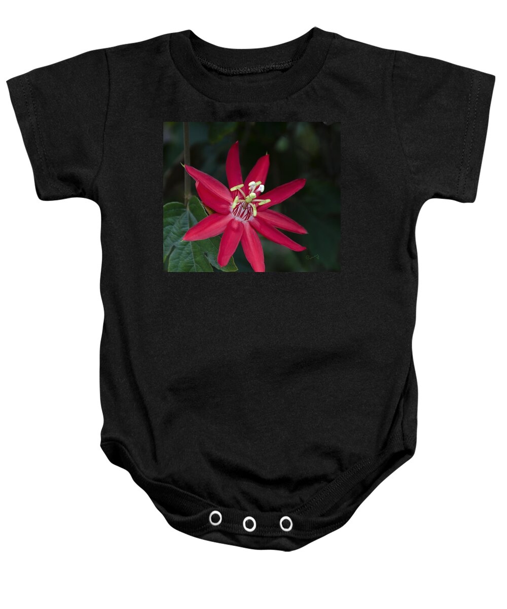 Penny Lisowski Baby Onesie featuring the photograph Red Passion Flower by Penny Lisowski