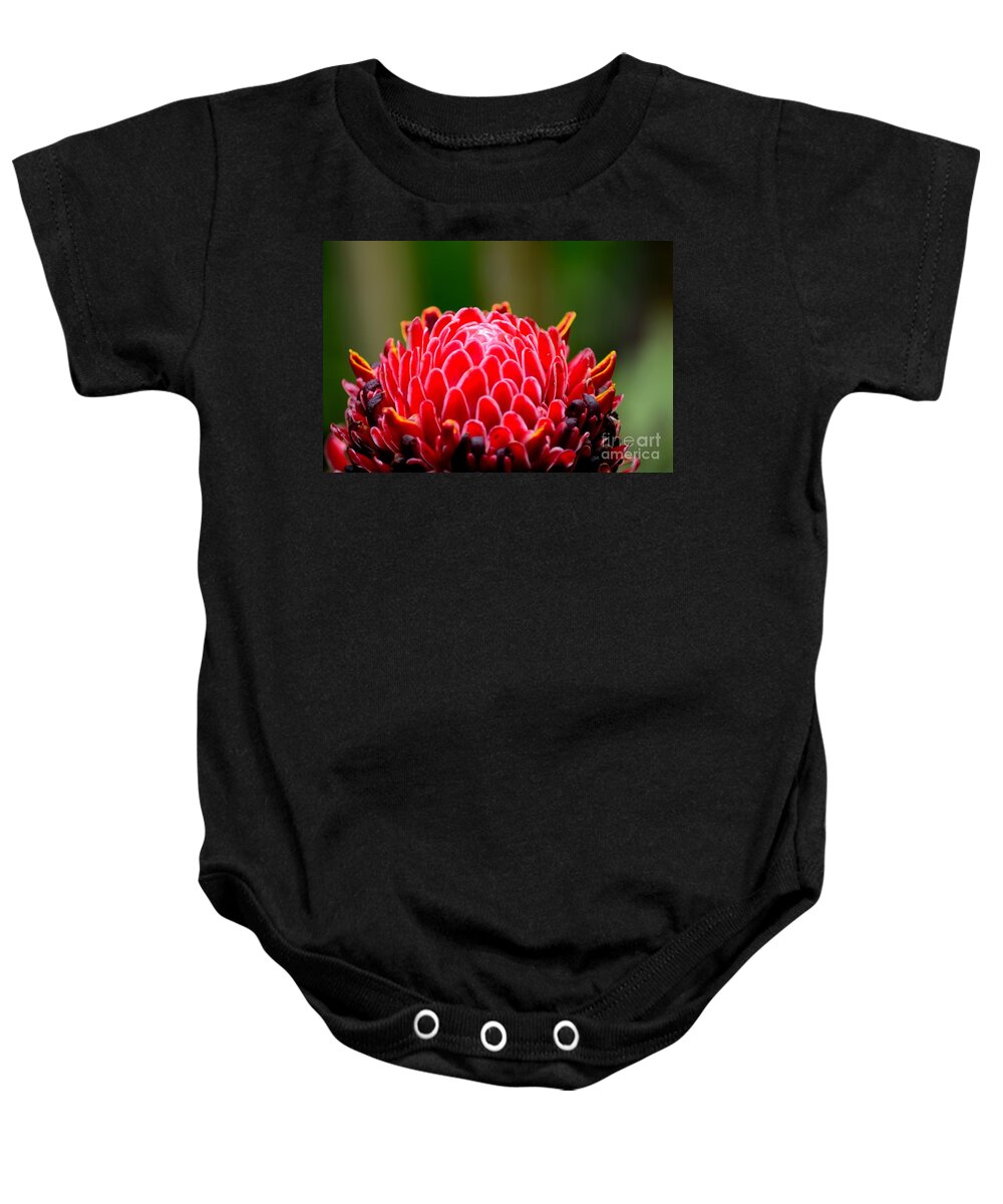 Ginger Baby Onesie featuring the photograph Red Torch Ginger Flower head from tropics Singapore by Imran Ahmed