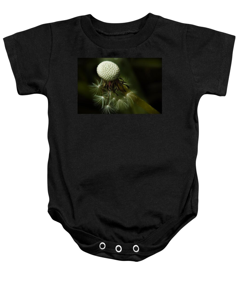 Dandelion Baby Onesie featuring the photograph Life Is Short by Michael Eingle