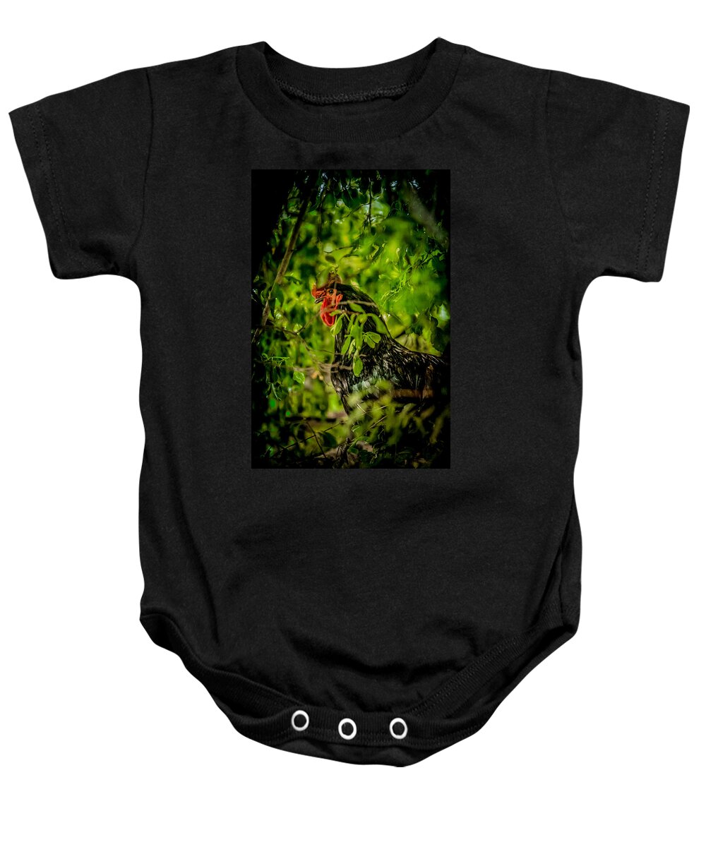 Black Baby Onesie featuring the photograph Rooster In A Tree by YoPedro