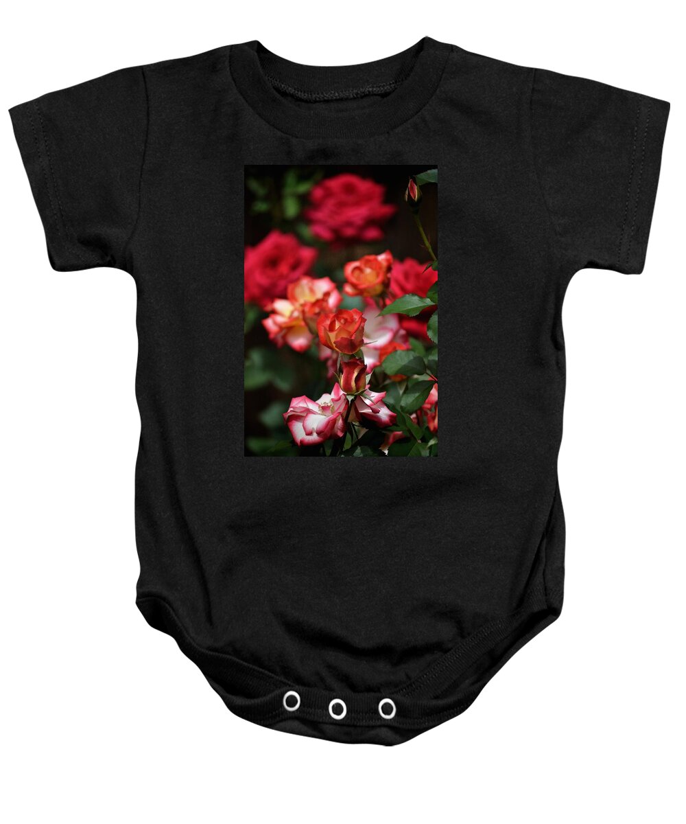 Floral Baby Onesie featuring the photograph Rose 309 by Pamela Cooper