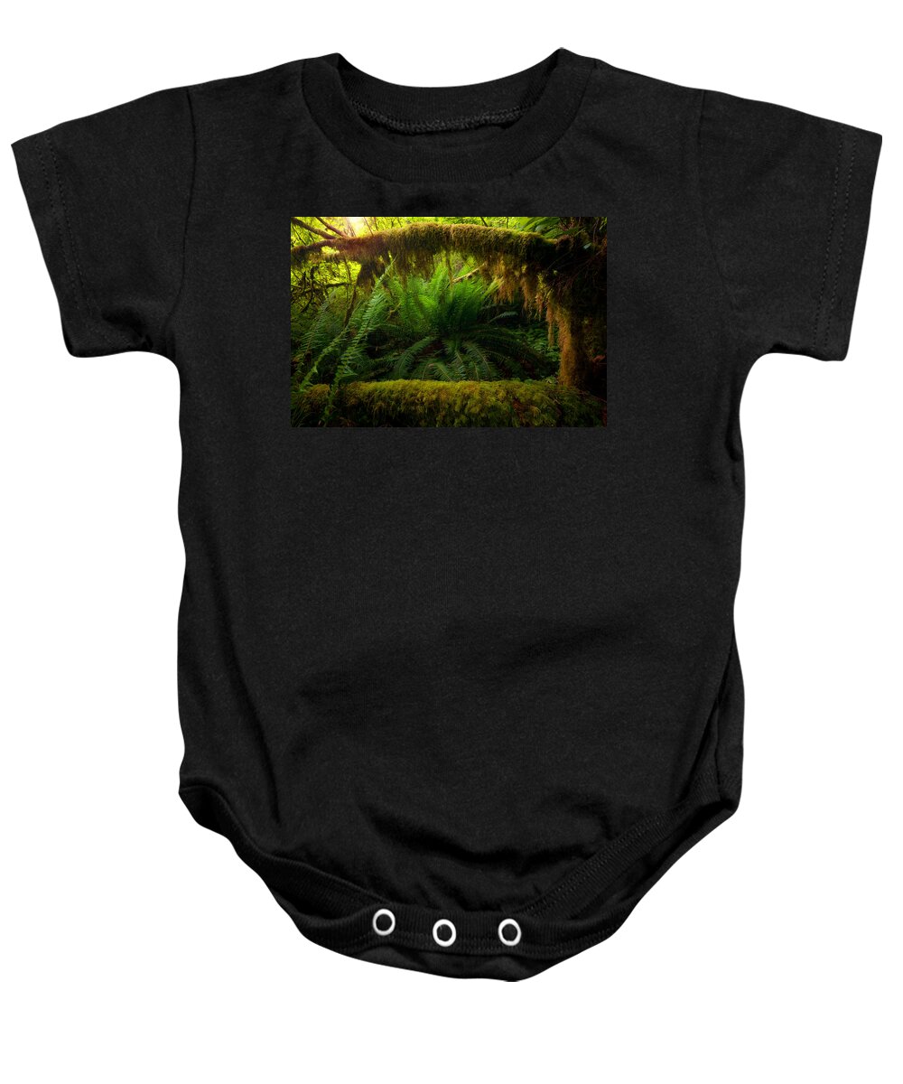 Shelter Baby Onesie featuring the photograph Sheltered Fern by Andrew Kumler