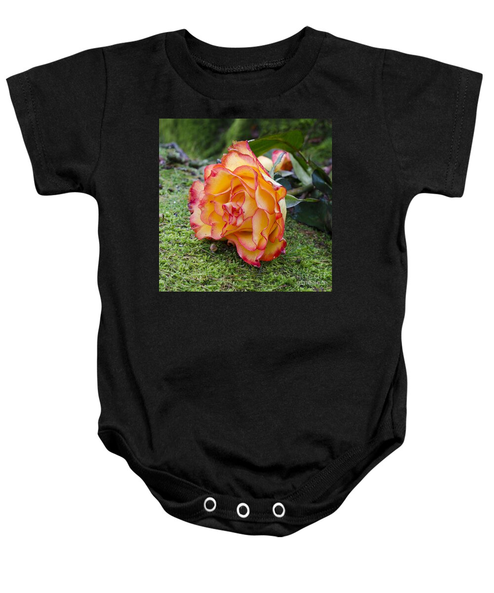 Rose Baby Onesie featuring the photograph Single rose by Steev Stamford