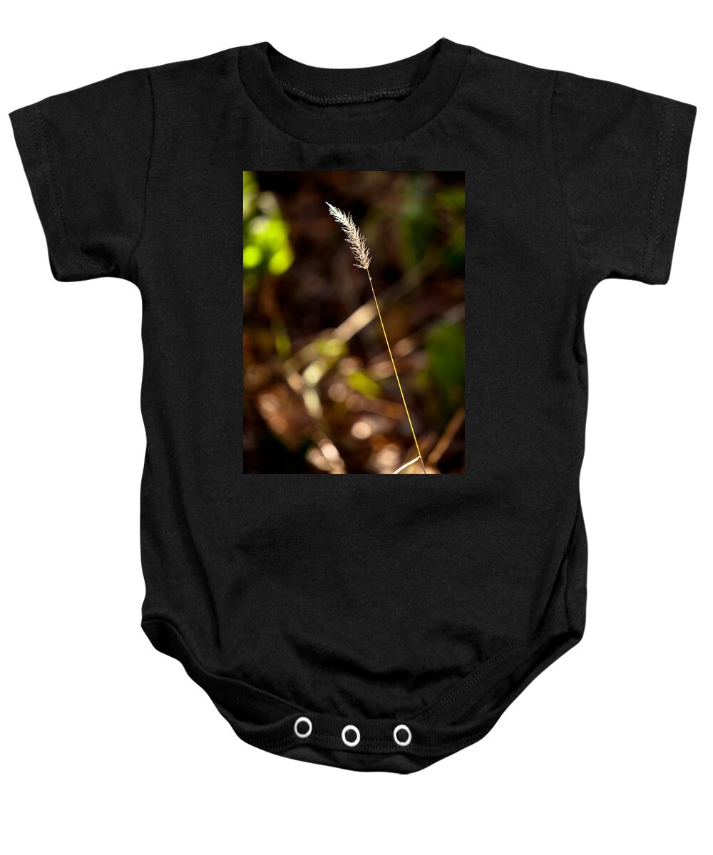 Wheat Baby Onesie featuring the photograph Single Yet Not Alone by Melinda Ledsome