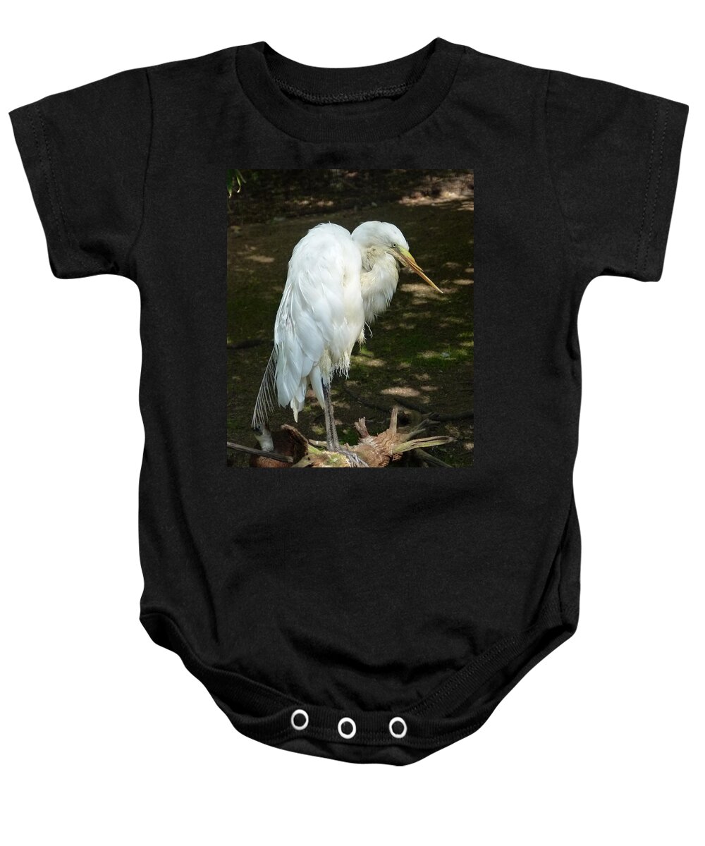 White Baby Onesie featuring the photograph Snowy Egret 2 by Richard Bryce and Family